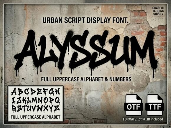 Alyssum: Unleash Raw Street Energy
