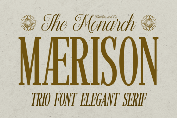 Maerison: Harmonizing Serif and Script