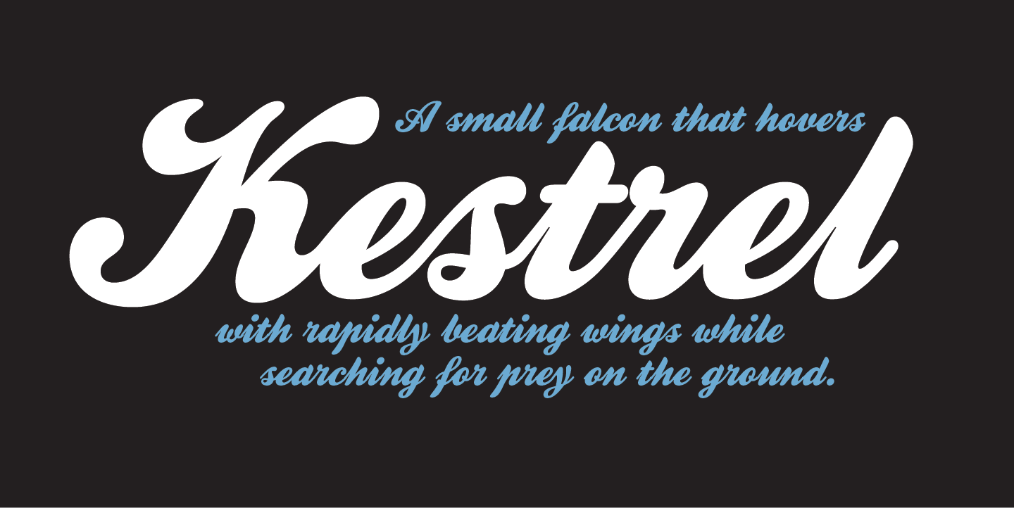 Rediscovering Kestrel Script: From Dry Transfer to Digital Masterpiece