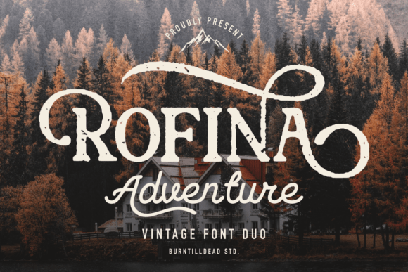 Rofina: The Font Duo That Marries Strength and Flow